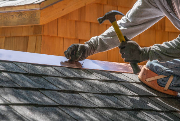 Best Roof Insulation Installation  in Forestville, OH