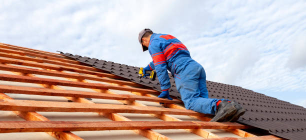 Best Roof Maintenance and Cleaning  in Forestville, OH
