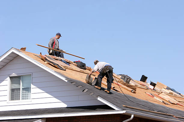 Fast & Reliable Emergency Roof Repairs in Forestville, OH