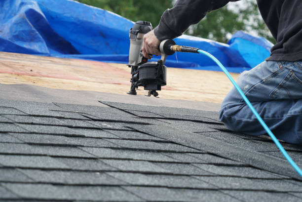 Roof Restoration in Forestville, OH